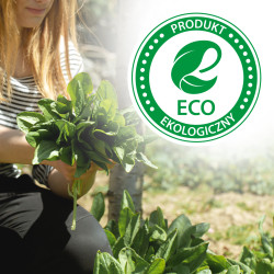 Preparat na mszyce Spray na mszyce Płyn 400ml VACO GREEN GARDEN