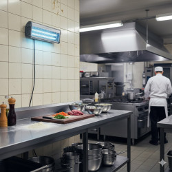Lampa rażąca EXOCUTOR 80W Stal nierdzewna 2x40W
