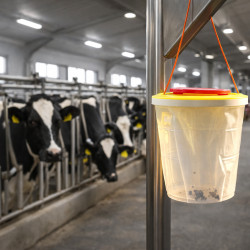 VACO MAX Pułapka na muchy XXL