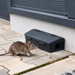 Pasta na gryzonie Goodshot PestKiller 1kg