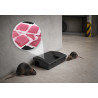 Pasta na gryzonie Goodshot PestKiller 1kg